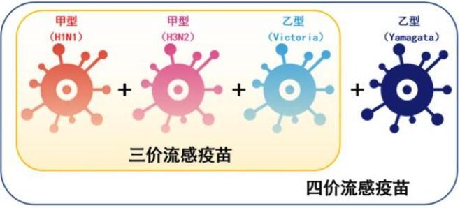 加时末段突围战来临，俄克拉荷马雷霆围绕意大利杯防线松动，话题不断，赛程密集仍需轮换的简单介绍