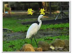 h在物理中是什么意思